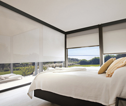 Blue Coast - roller shades