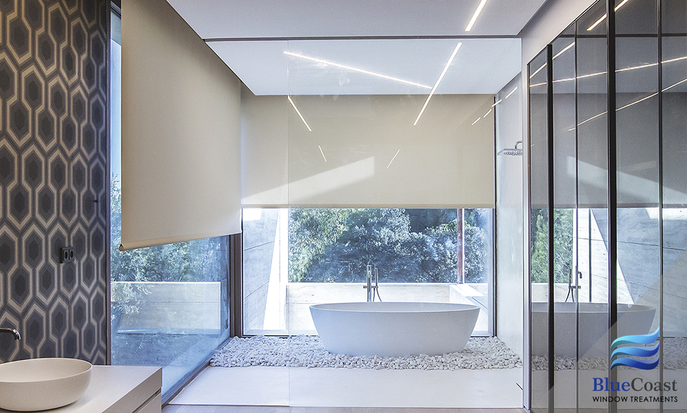 roller shades