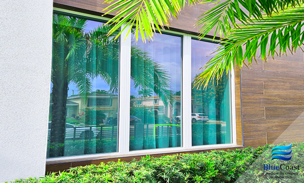 Window Tints